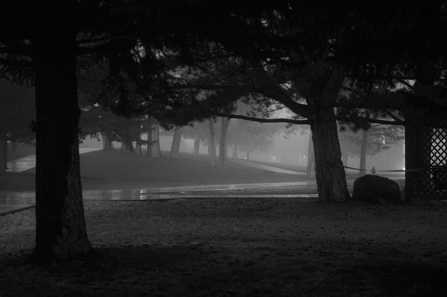 Misty Midnight Walk
